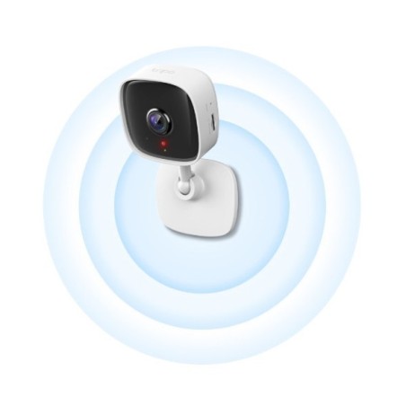 IP Camera TP-Link Tapo C110