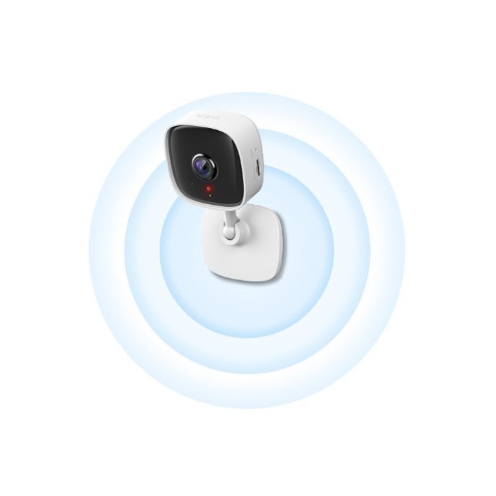 IP Camera TP-Link Tapo C110